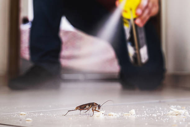 El Dorado Hills, CA Pest Control Company